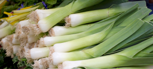 Egyptian Leeks