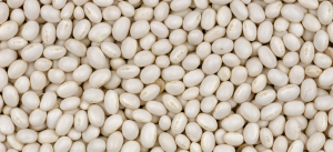 Egyptian Beans