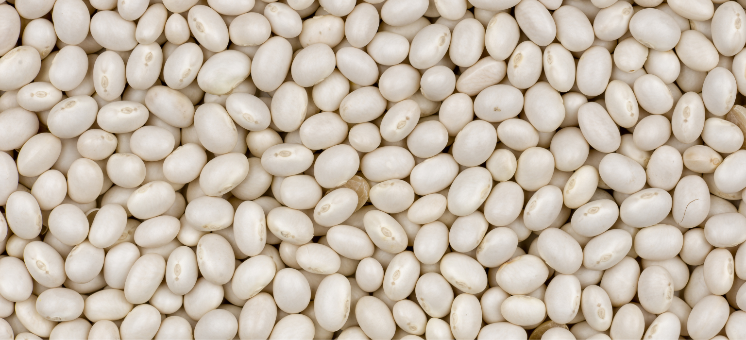 Egyptian Beans