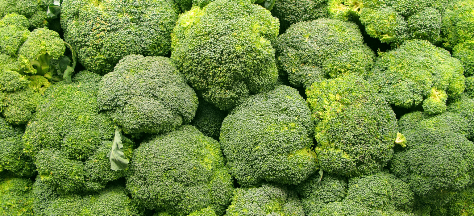 Egyptian Broccolis