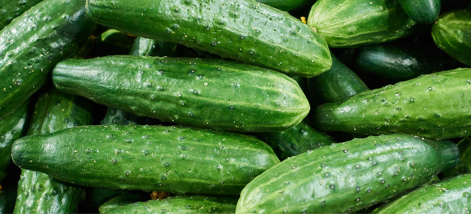 Egyptian Cucumbers