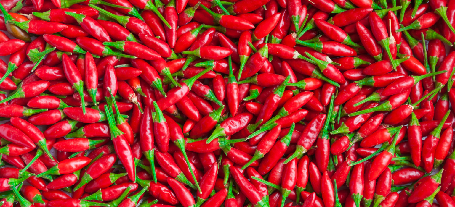 Egyptian Hot Peppers