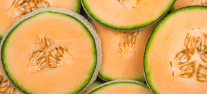Egyptian Melons