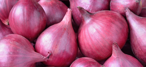 Egyptian Onions