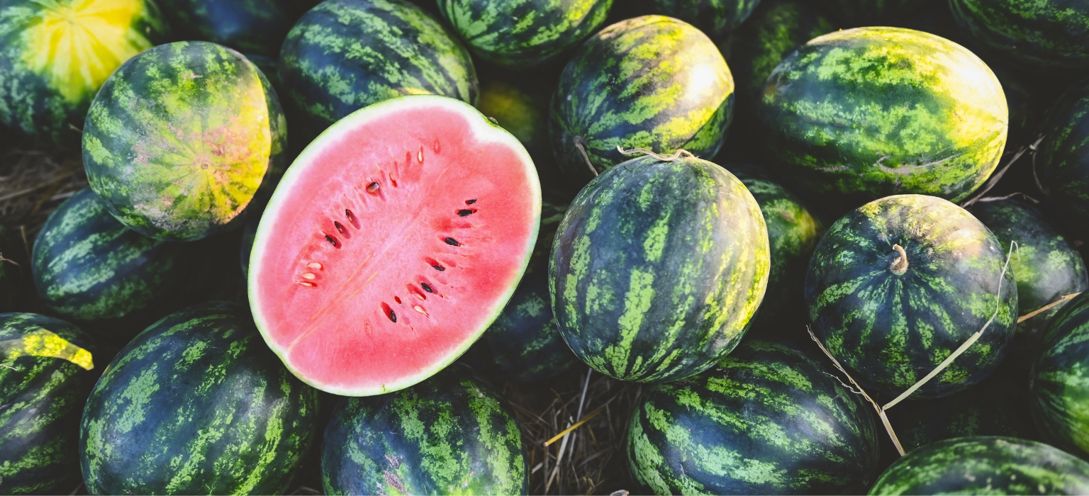 Egyptian Watermelons
