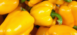 Egyptian Yellow Bell Pepper
