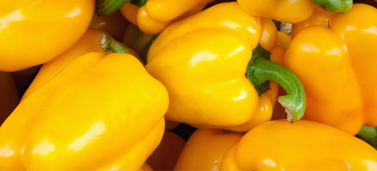 Egyptian Yellow Bell Pepper