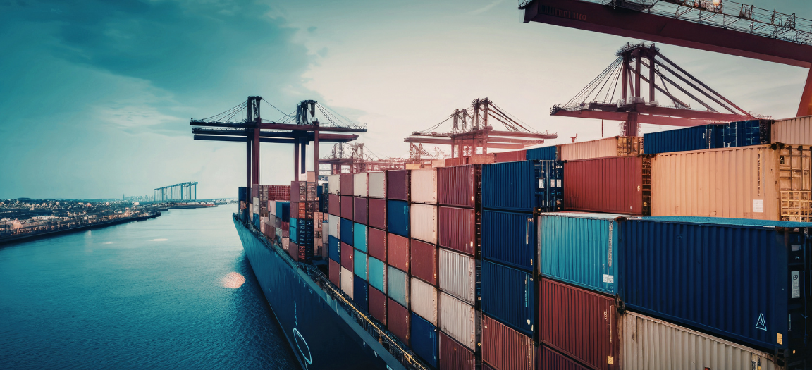 Export Process: From Farm to Global Delivery